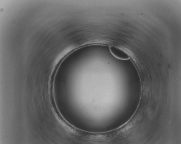 X0000062851135200601201656