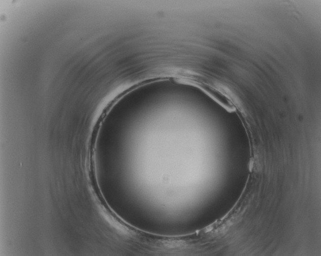 X0000062851136200601201656