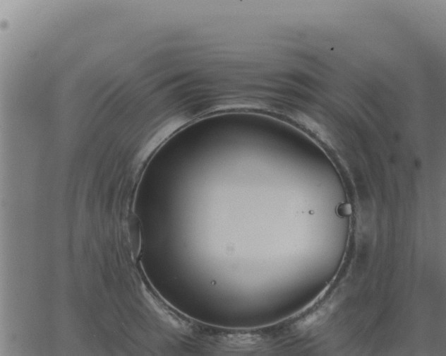 X0000062851137200601201656