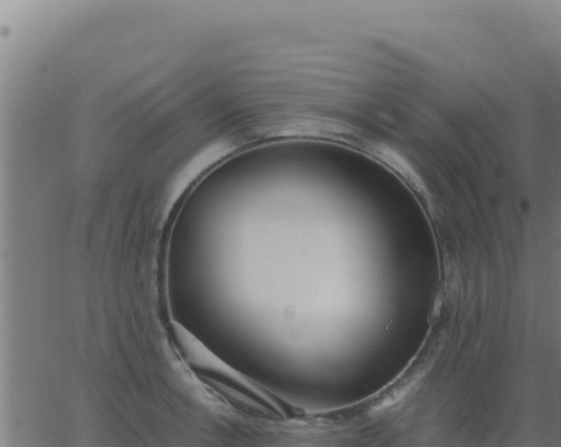 X0000062851138200601201656