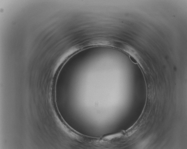 X0000062851139200601201657