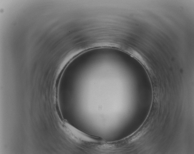 X0000062851140200601201657