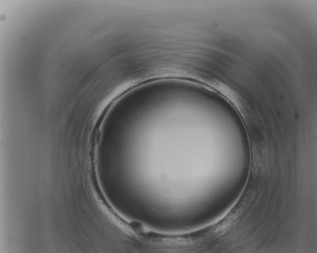 X0000062851142200601201657