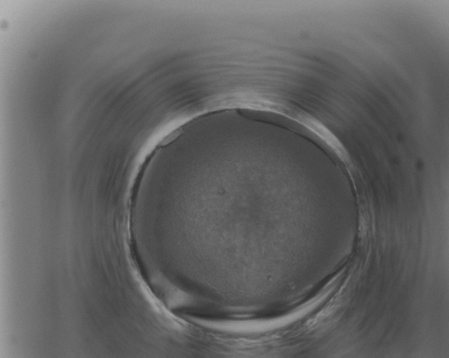 X0000062851144200601201657