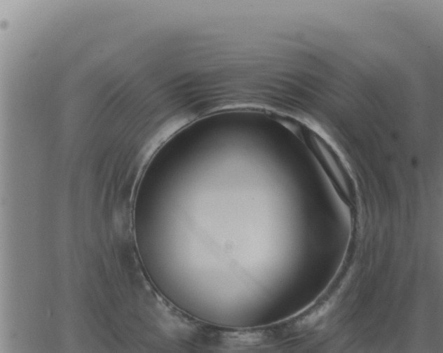 X0000062851145200601201657