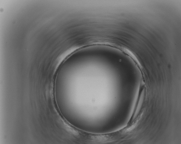 X0000062851149200601201657