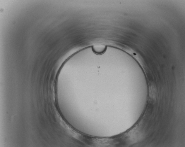 X0000062851150200601201657