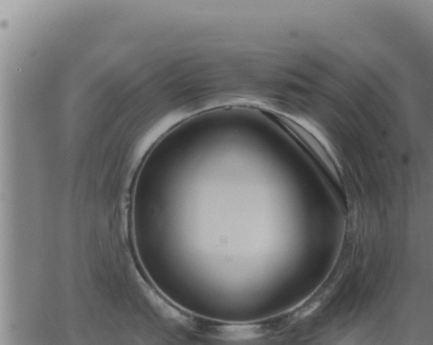 X0000062851151200601201657