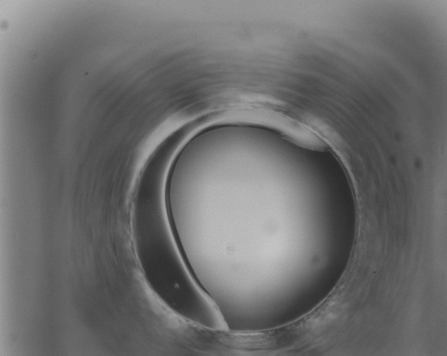 X0000062851152200601201657