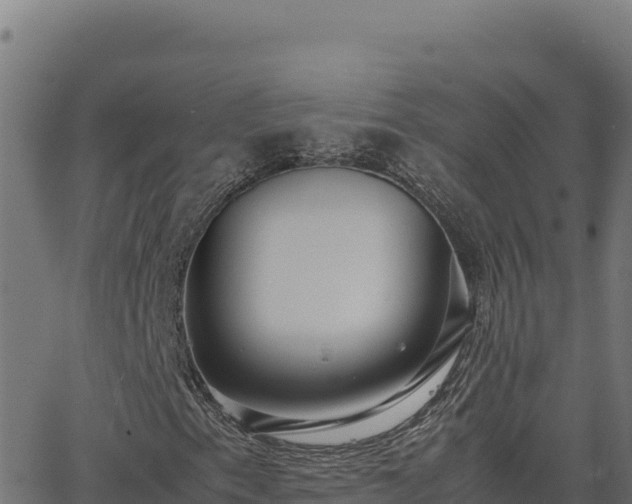 X0000062851153200601201656