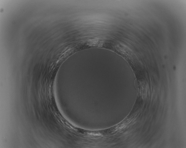 X0000062851154200601201656