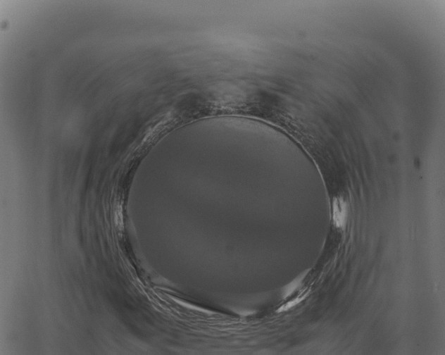 X0000062851155200601201656