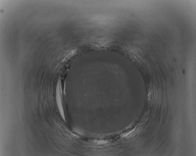 X0000062851156200601201656