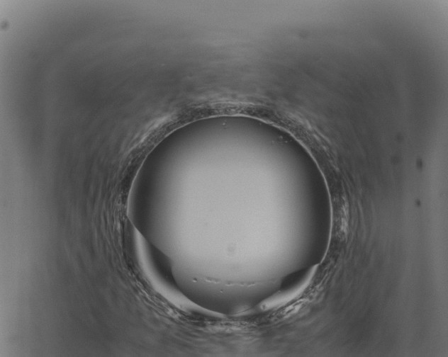 X0000062851157200601201656