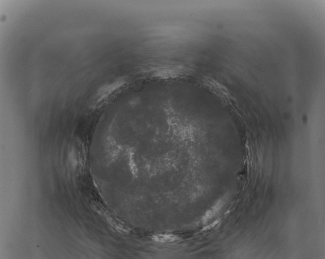 X0000062851158200601201656