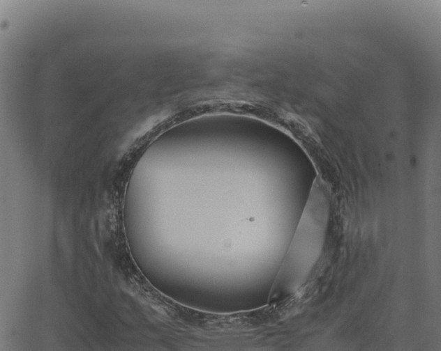 X0000062851159200601201656