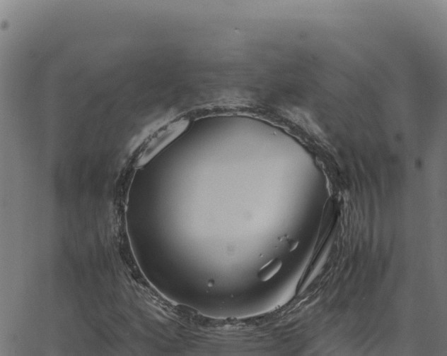 X0000062851160200601201656