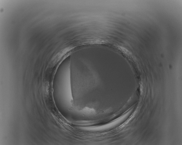 X0000062851161200601201656