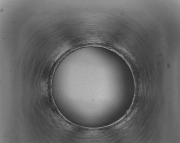 X0000062851162200601201656