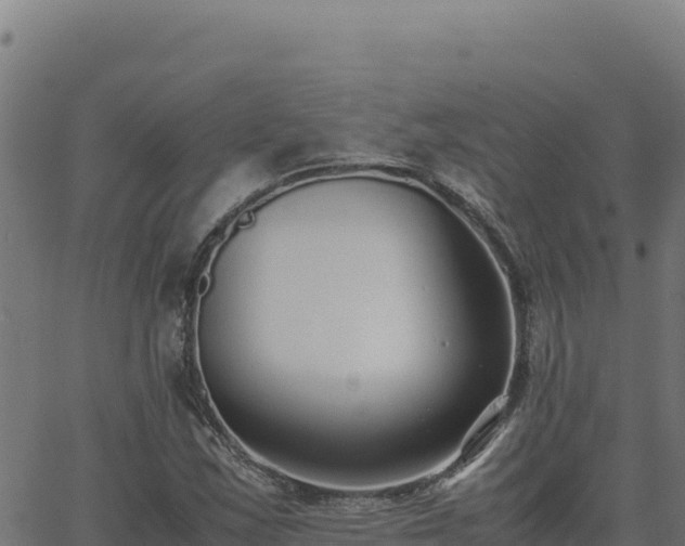 X0000062851163200601201656