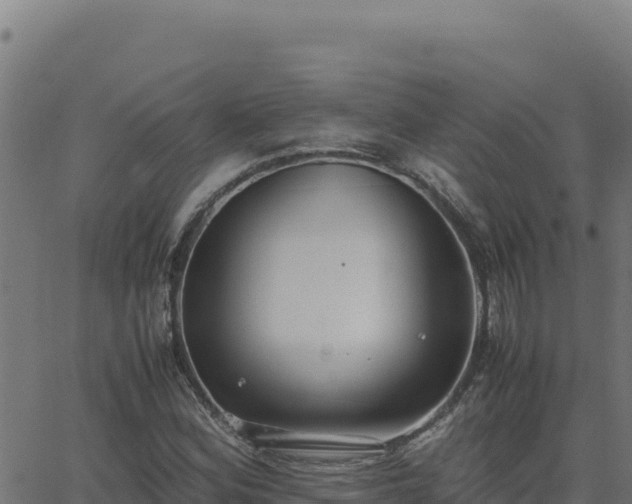 X0000062851164200601201656