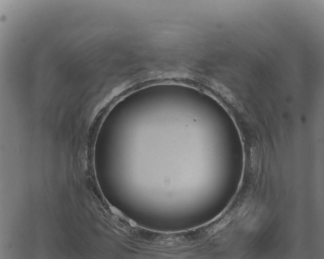 X0000062851165200601201656