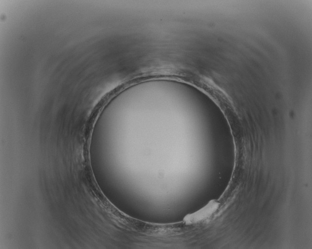 X0000062851166200601201656