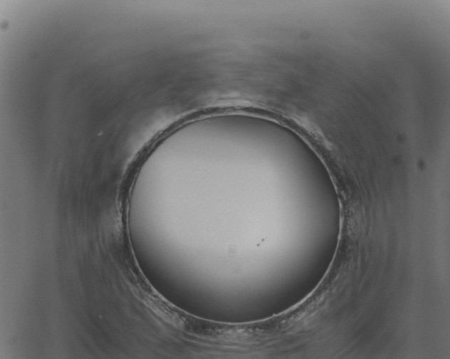 X0000062851167200601201656