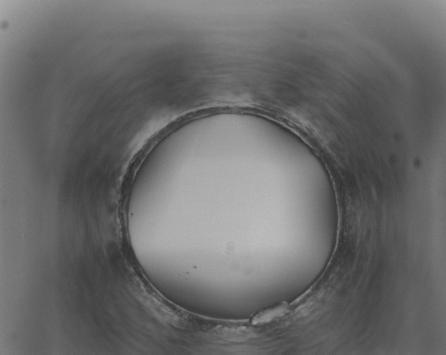 X0000062851168200601201656