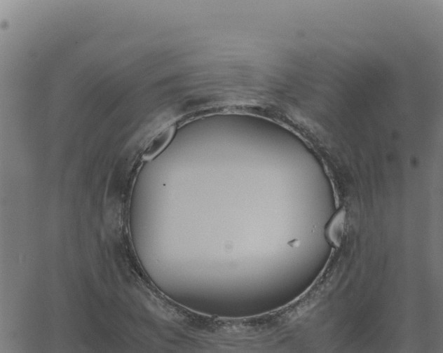 X0000062851169200601201656