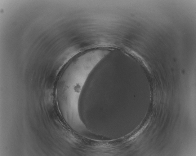 X0000062851170200601201656