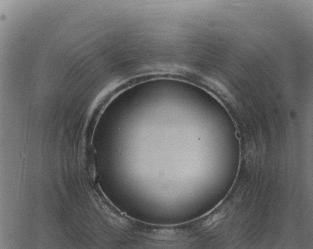 X0000062851172200601201656