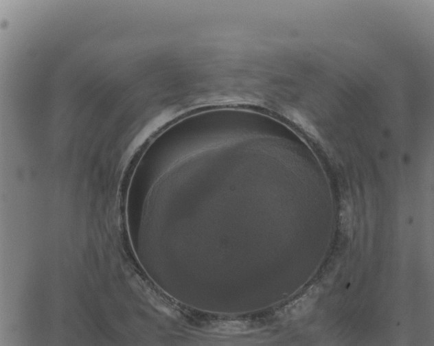 X0000062851173200601201656