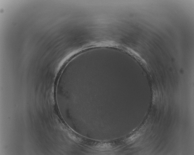 X0000062851174200601201656