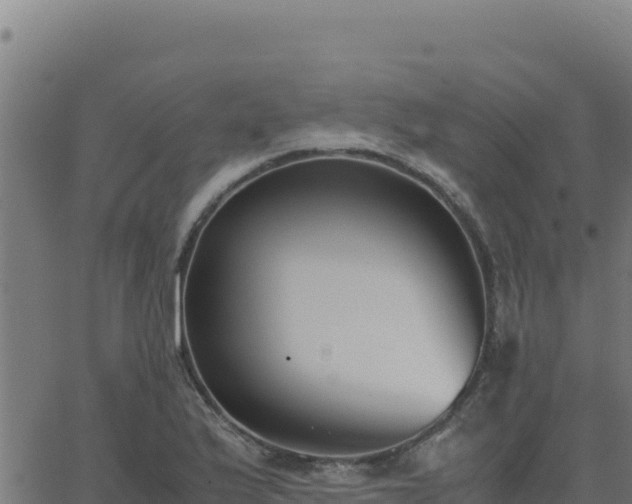 X0000062851175200601201656