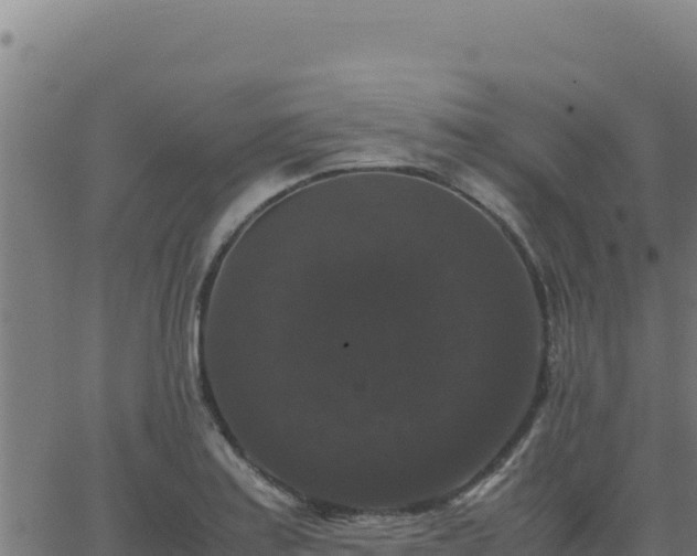 X0000062851179200601201656