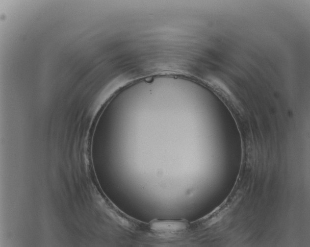 X0000062851182200601201655