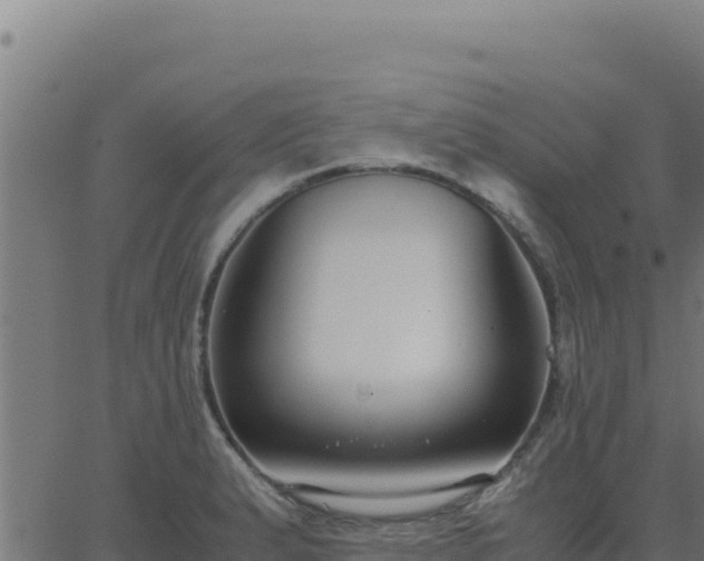 X0000062851183200601201655