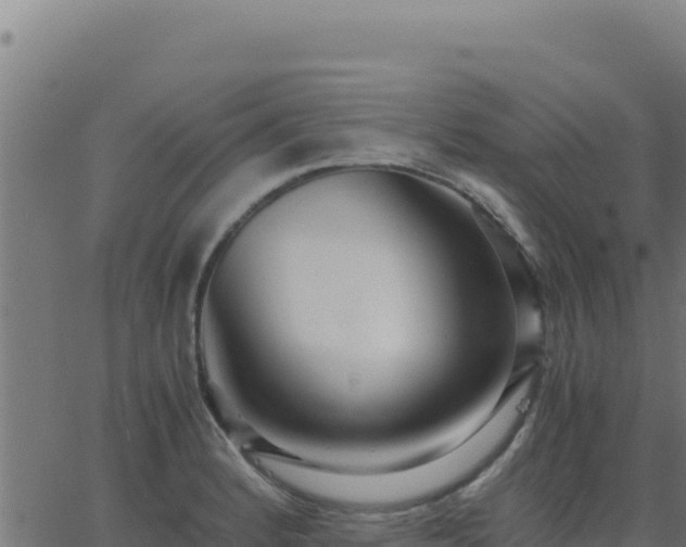 X0000062851184200601201655