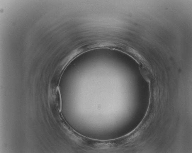 X0000062851185200601201655