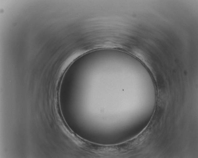 X0000062851187200601201655