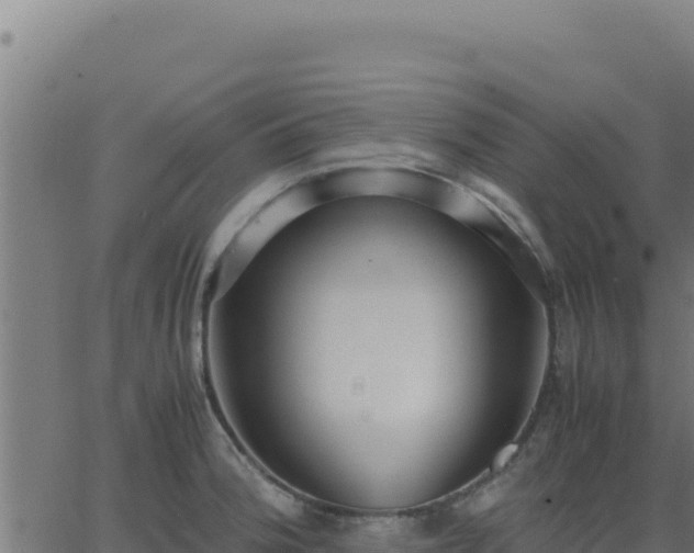 X0000062851188200601201655