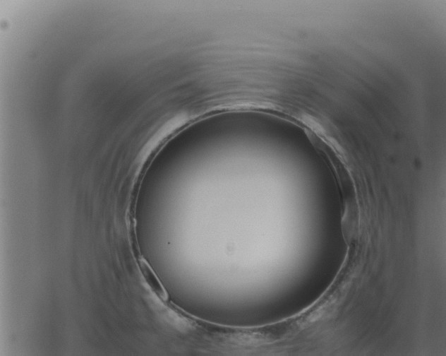 X0000062851189200601201655