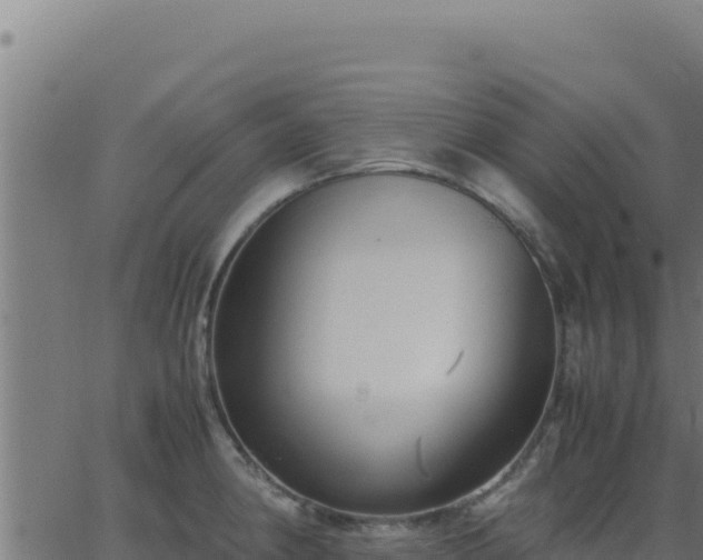 X0000062851190200601201655