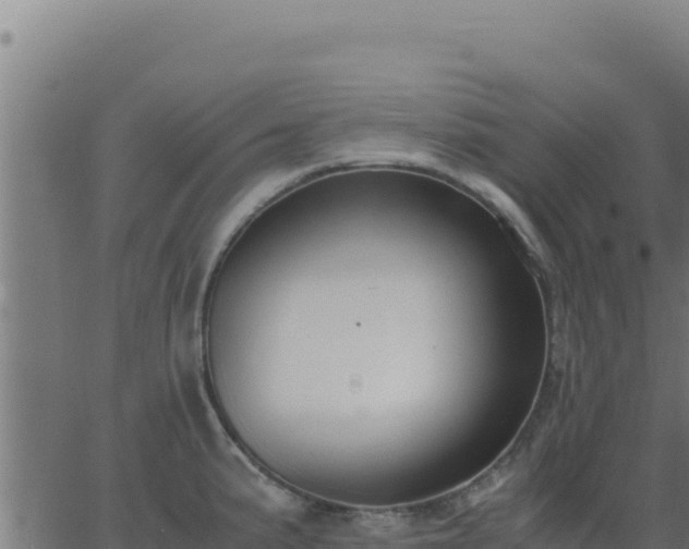 X0000062851191200601201655