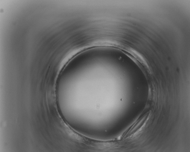 X0000062851192200601201655