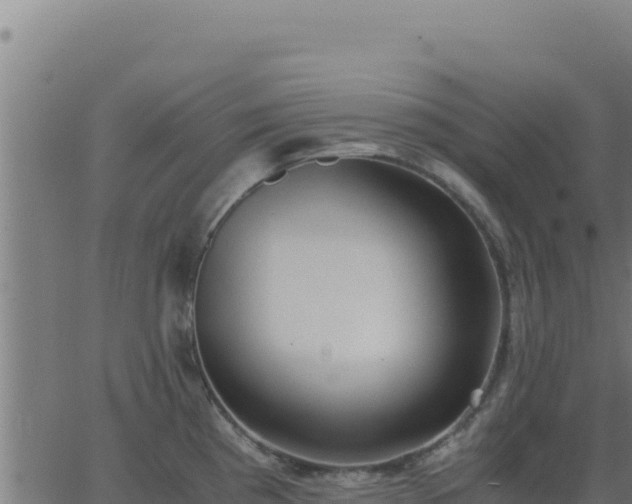 X0000062851193200601201655