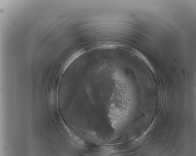 X0000062851194200601201655