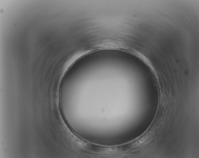 X0000062851195200601201655