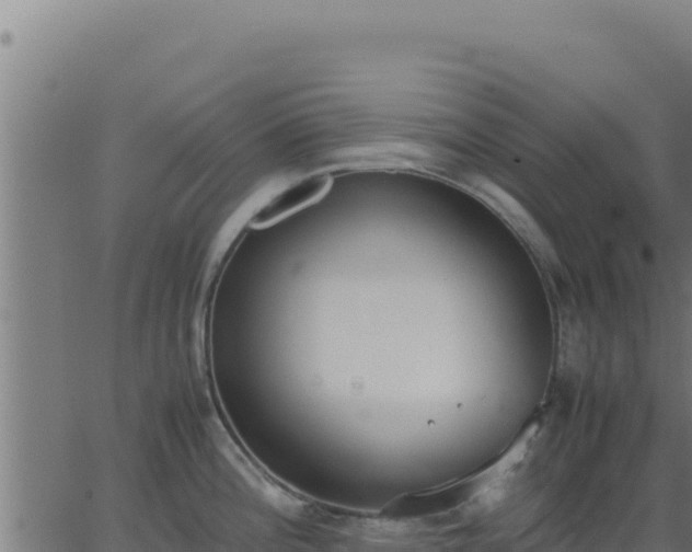 X0000062851196200601201655